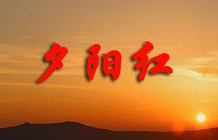 科技退管会二〇二五年第二期简报（2025年3月9日）