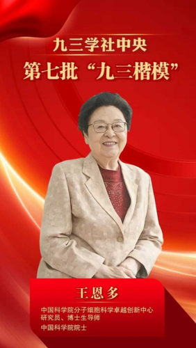 微信截图_20241203093215