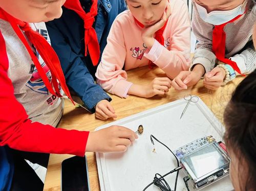 微信图片_20250902084045