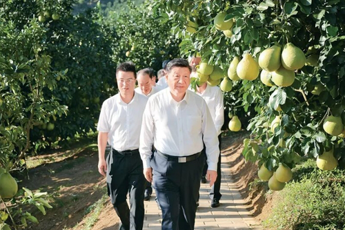 微信截图_20260104095441