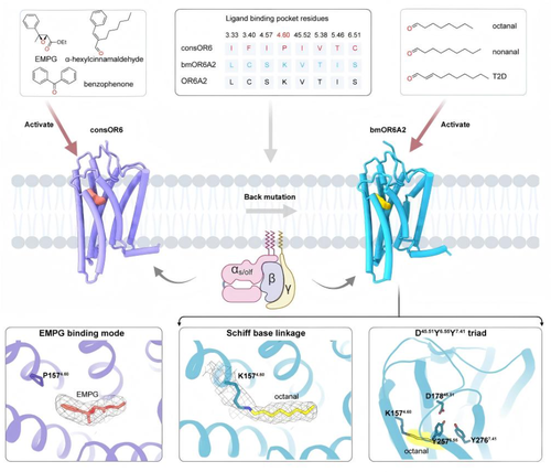 微信图片_20260123115652