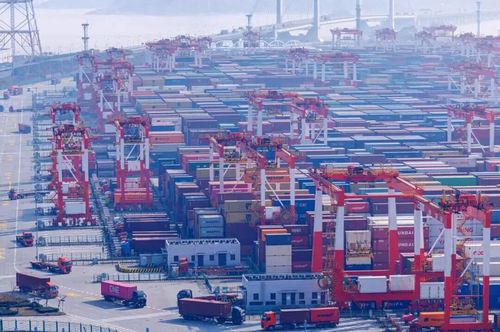 微信图片_20260130112305